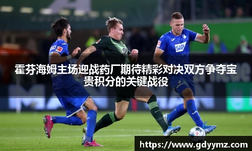 霍芬海姆主场迎战药厂期待精彩对决双方争夺宝贵积分的关键战役