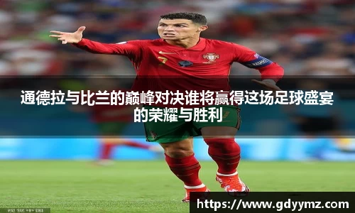 JJB竞技宝官网