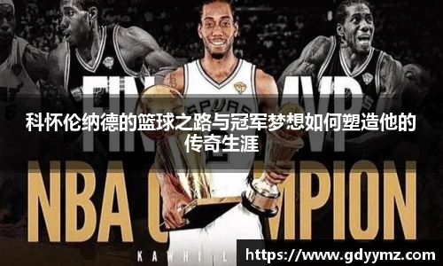 JJB竞技宝官网