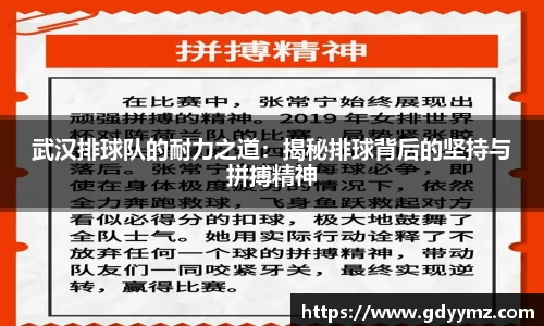 竞技宝JJB