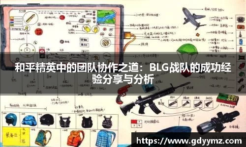 和平精英中的团队协作之道：BLG战队的成功经验分享与分析