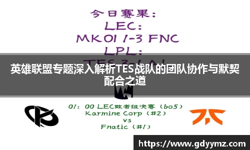 英雄联盟专题深入解析TES战队的团队协作与默契配合之道